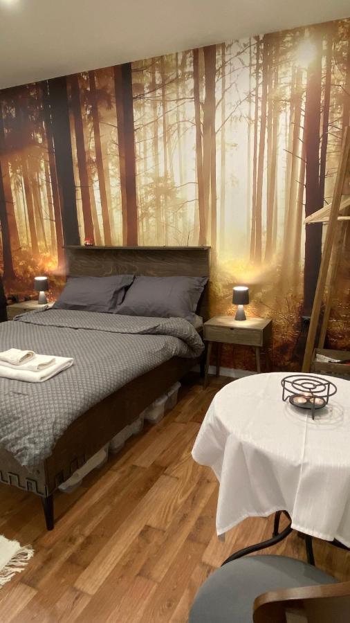 Studio Ray Town Centre Spišská Nová Ves Dış mekan fotoğraf